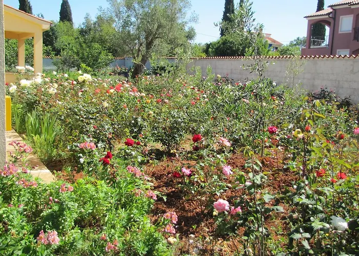 Апартаменти Maria